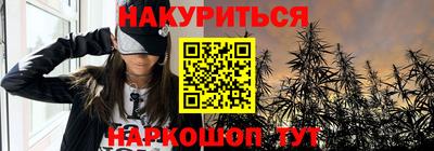 индика Ливны