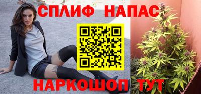 индика Ливны