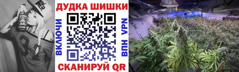 Бошки марихуана индика  где продают наркотики  мориарти телеграм  Волжский 